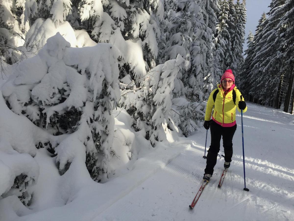 Rekreacni Domek Kobylnice Lipno Липно-над-Влтавой Экстерьер фото